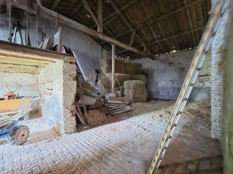 Maison Vigy - 5 chambres - 1000m²