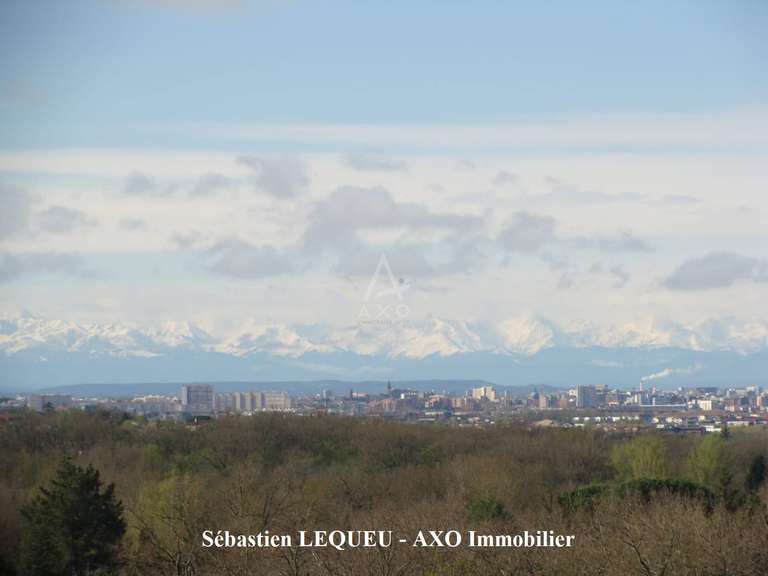 Maison Saint-Geniès-Bellevue - 7 chambres - 230m²