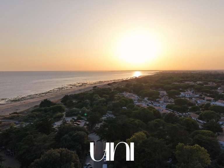 Maison Le Bois-Plage-en-Ré - 5 chambres - 277m²