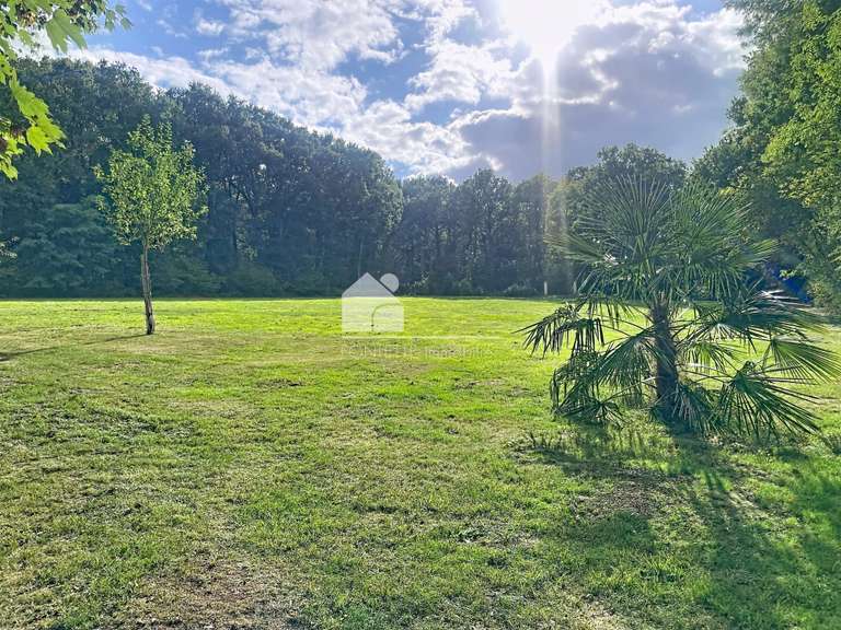 Maison Baron-sur-Odon - 6 chambres - 254m²