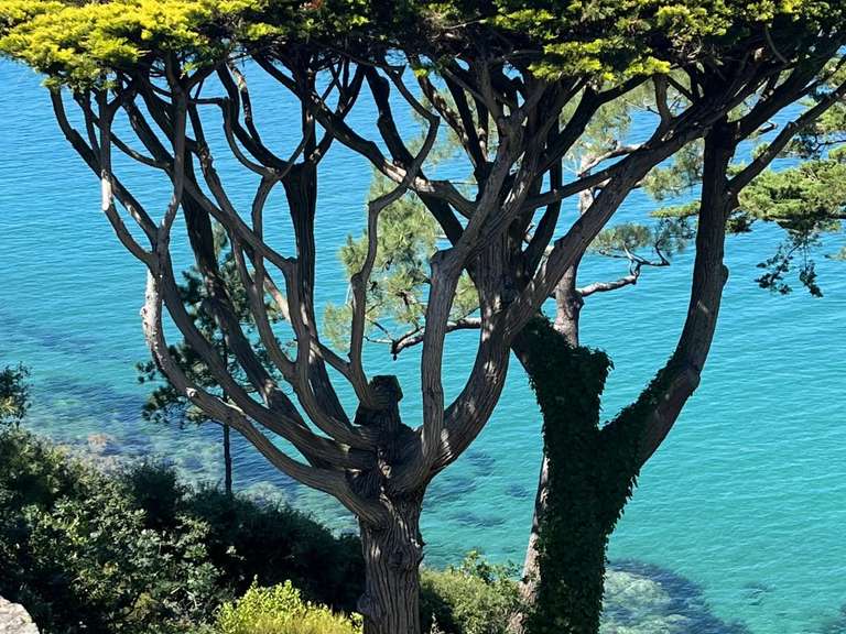 Maison Moëlan-sur-Mer - 190m²