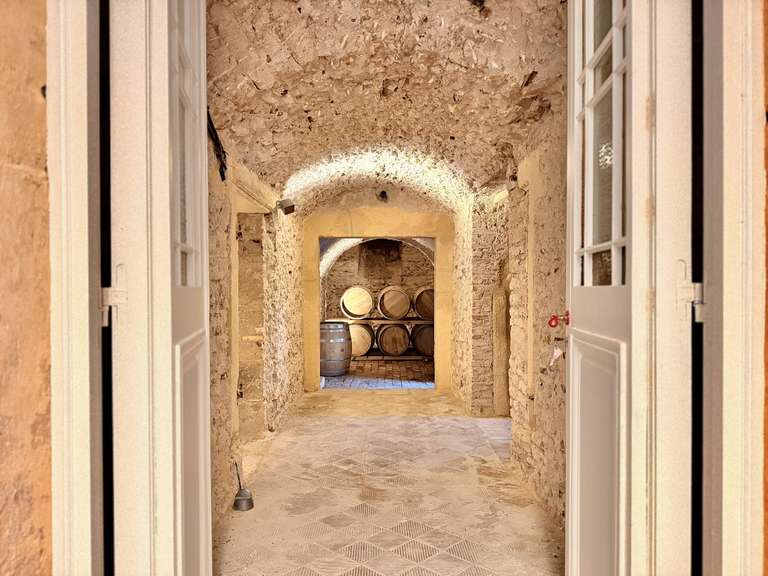 Maison Metz - 5 chambres - 365m²