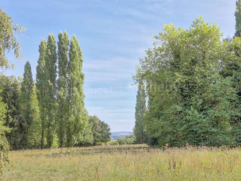 Maison Montfort-l'Amaury - 5 chambres - 450m²