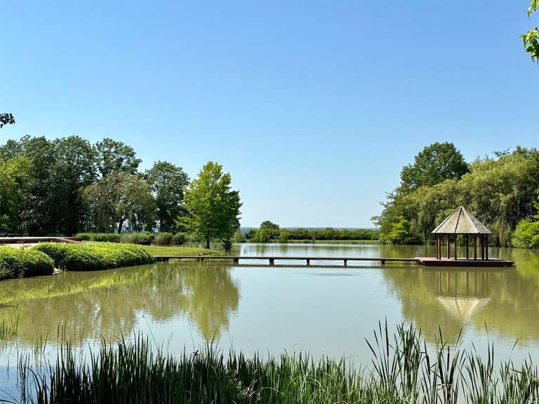 House Saint-Cyran-du-Jambot - 10 bedrooms - 640m²