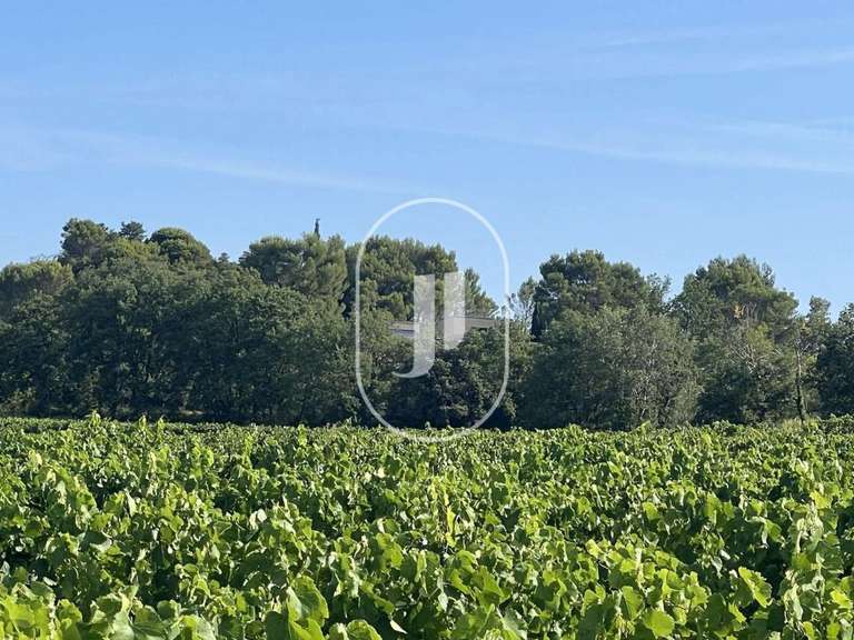 Villa Vaison-la-Romaine - 5 bedrooms - 250m²