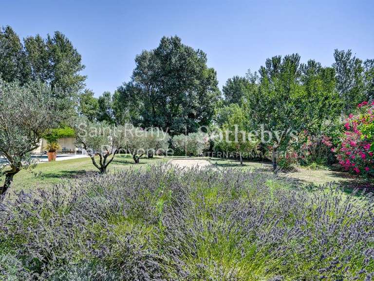 Maison Saint-Rémy-de-Provence - 4 chambres - 268m²
