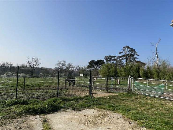 Maison Montmorillon - 5 chambres - 305m²