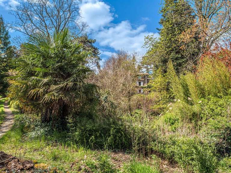 Maison Brignais - 5 chambres - 246m²