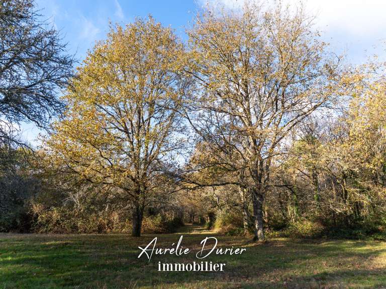 Maison Ambillou - 3 chambres