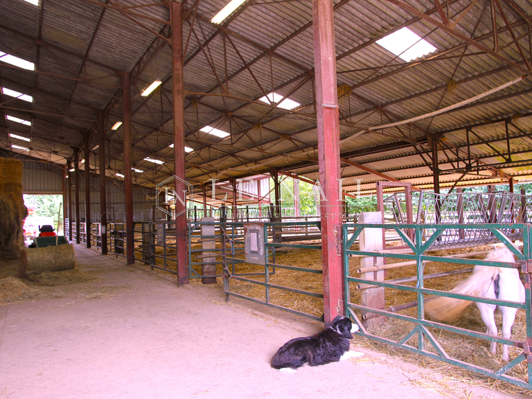 Propriété Chaource - 7 chambres - 220m²