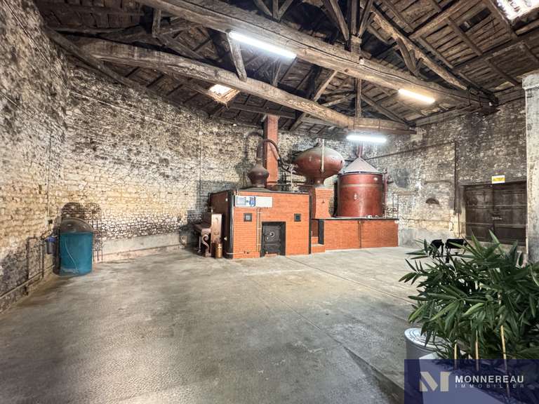 Maison Baignes-Sainte-Radegonde - 11 chambres