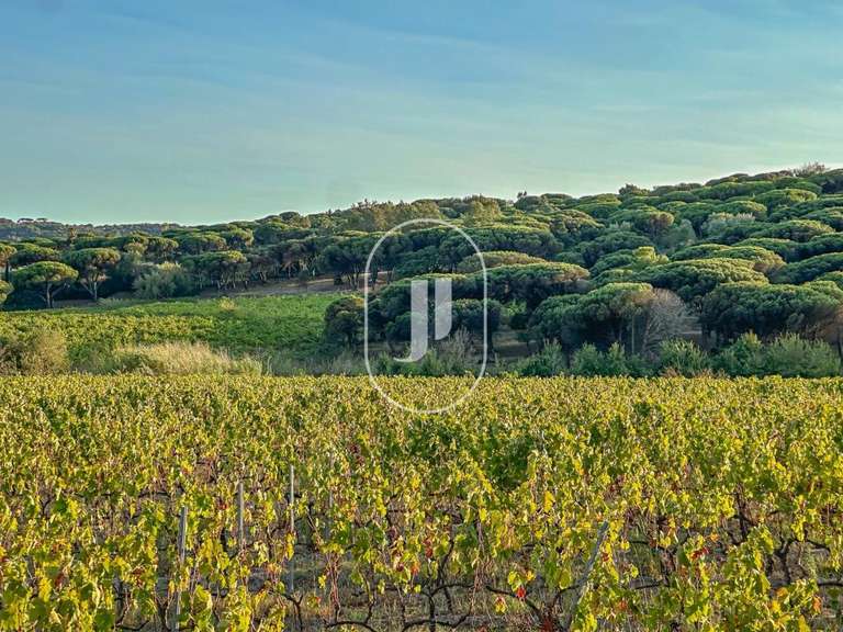 Maison Ramatuelle - 6 chambres - 350m²