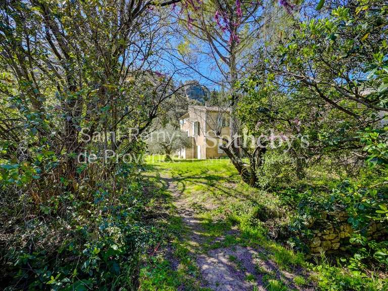 Maison Les Baux-de-Provence - 6 chambres - 395m²
