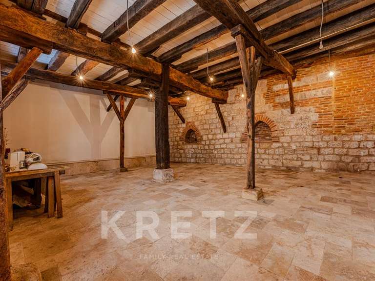 Maison Gimont - 4 chambres - 420m²
