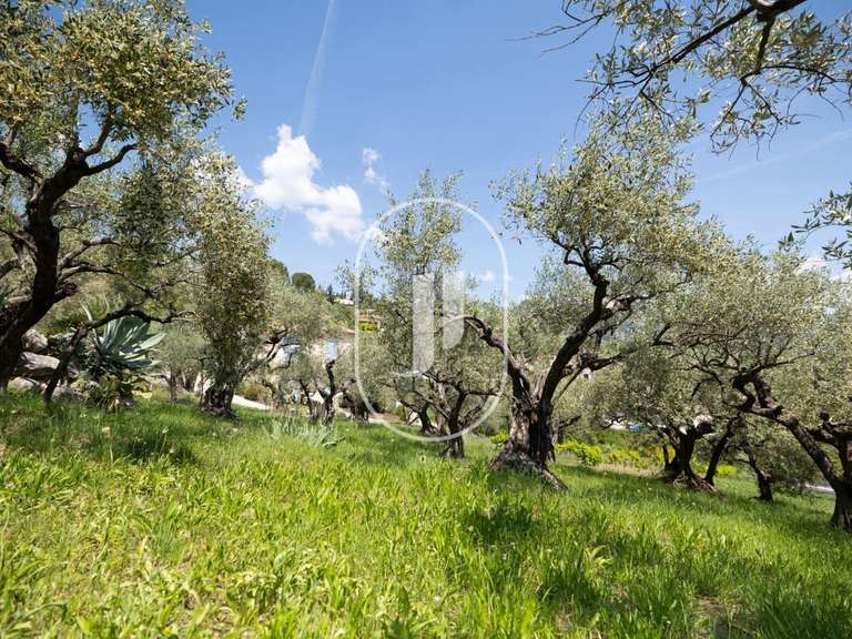 Villa Buis-les-Baronnies - 6 bedrooms - 295m²