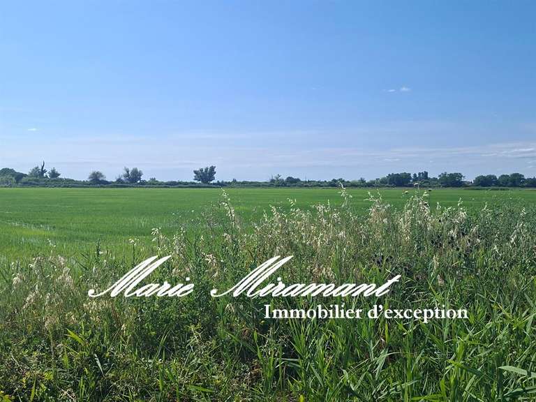 Propriété Arles - 6 chambres - 450m²