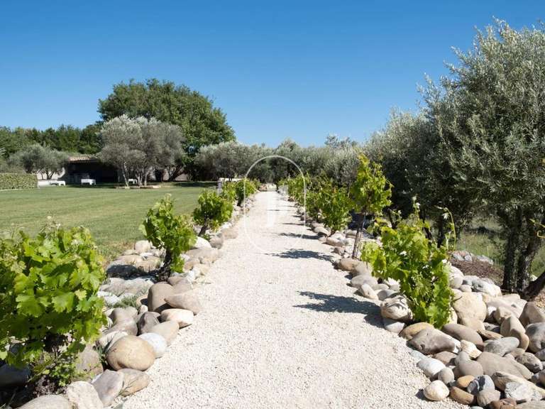 Villa Bédoin - 7 bedrooms - 250m²