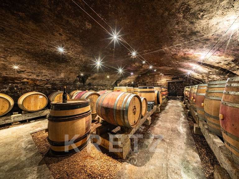 Propriété Savigny-lès-Beaune - 8 chambres - 490m²