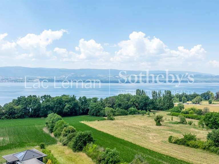 Maison Messery - 6 chambres - 750m²