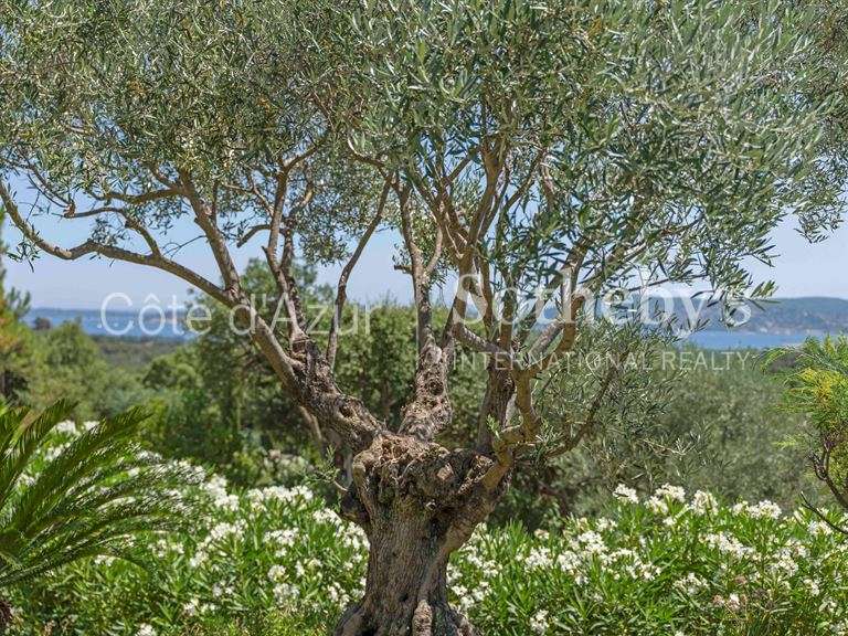 Maison Grimaud - 5 chambres - 323m²