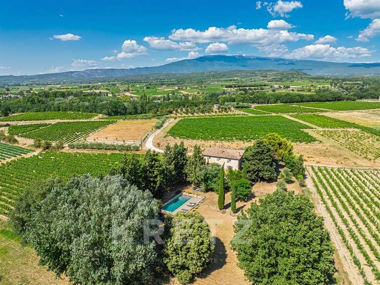 Maison Mazan - 7 chambres - 345m²