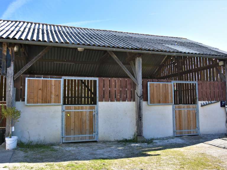 Maison Tournon-d'Agenais - 7 chambres - 460m²