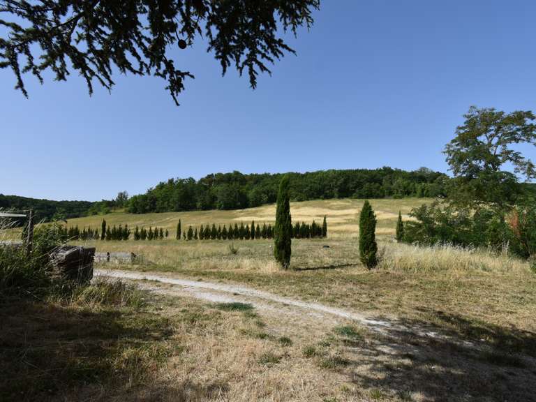 Maison Tournon-d'Agenais - 7 chambres - 460m²