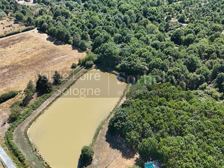 Maison La Ferté-Saint-Aubin - 7 chambres - 349m²