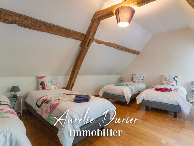 House Amboise - 7 bedrooms - 400m²