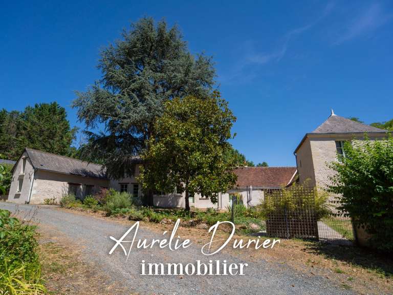 House Amboise - 7 bedrooms - 400m²