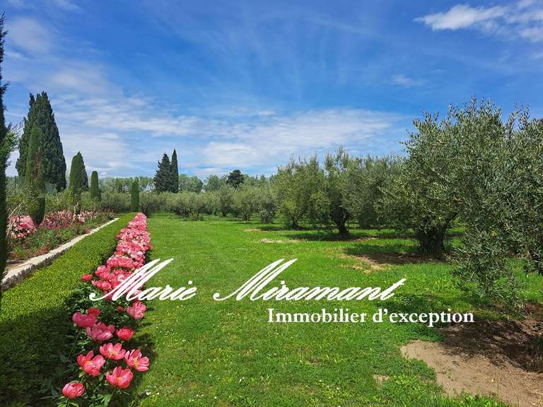 Property Saint-Rémy-de-Provence - 7 bedrooms - 600m²