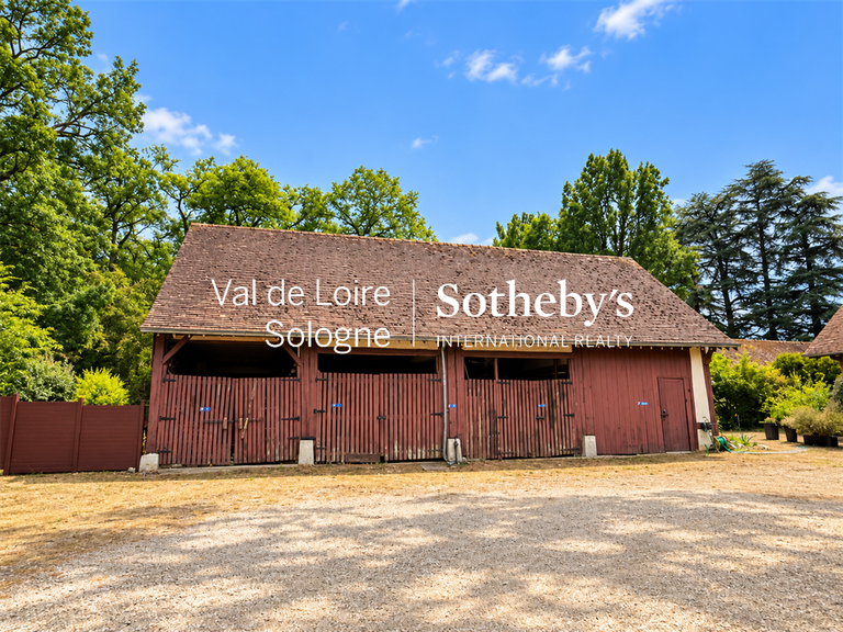 Maison Ligny-le-Ribault - 14 chambres - 644m²