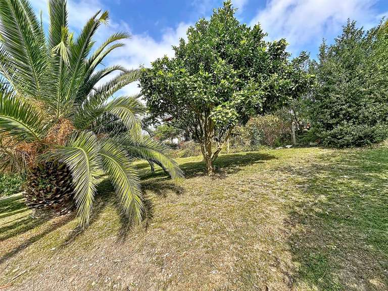 Maison Ciboure - 3 chambres - 170m²
