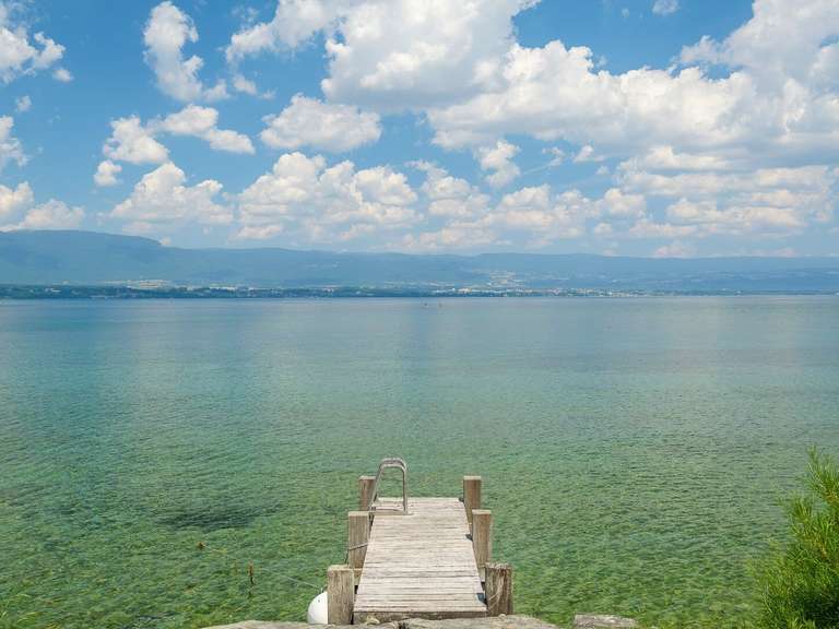 Maison Chens-sur-Léman - 9 chambres - 1361m²