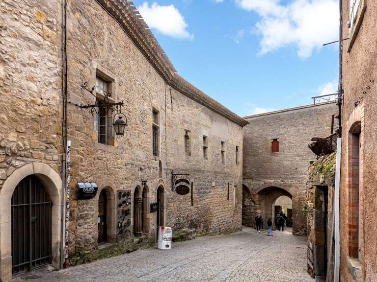 Maison Carcassonne - 5 chambres - 335m²