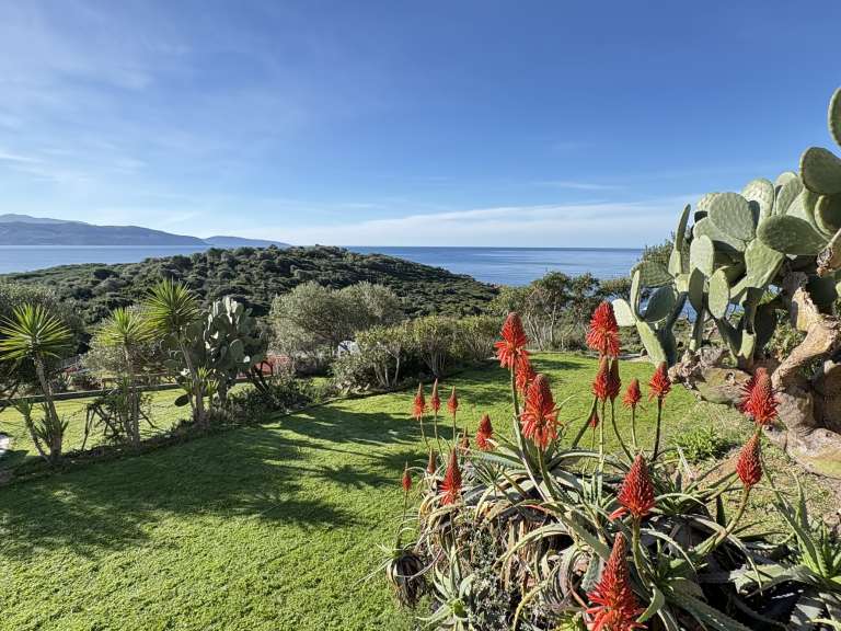 Villa avec Vue sur mer Coggia - 8 chambres - 249m²