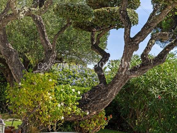 Maison Sainte-Maxime - 3 chambres - 125m²