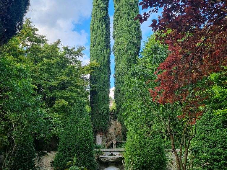Maison Triel-sur-Seine - 7 chambres - 300m²