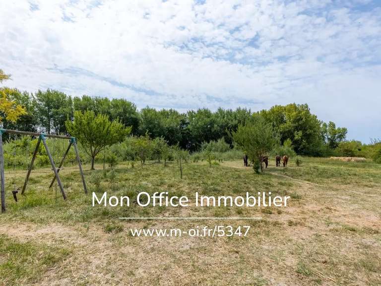 Maison Mazan - 6 chambres - 354m²