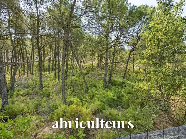 Maison Les Pennes-Mirabeau - 5 chambres - 230m²