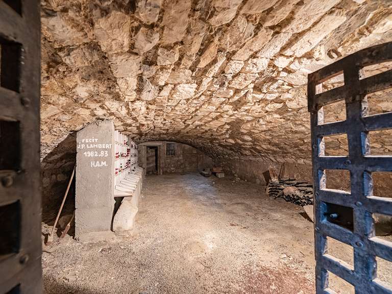 Maison Bassens - 10 chambres - 400m²