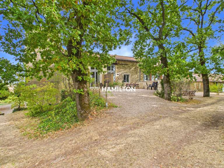 Maison Gaillac - 10 chambres - 655m²