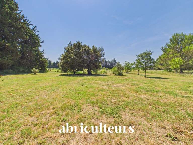 Maison Orgon - 6 chambres - 310m²