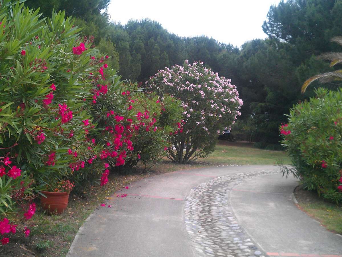 House Laroque-des-Albères