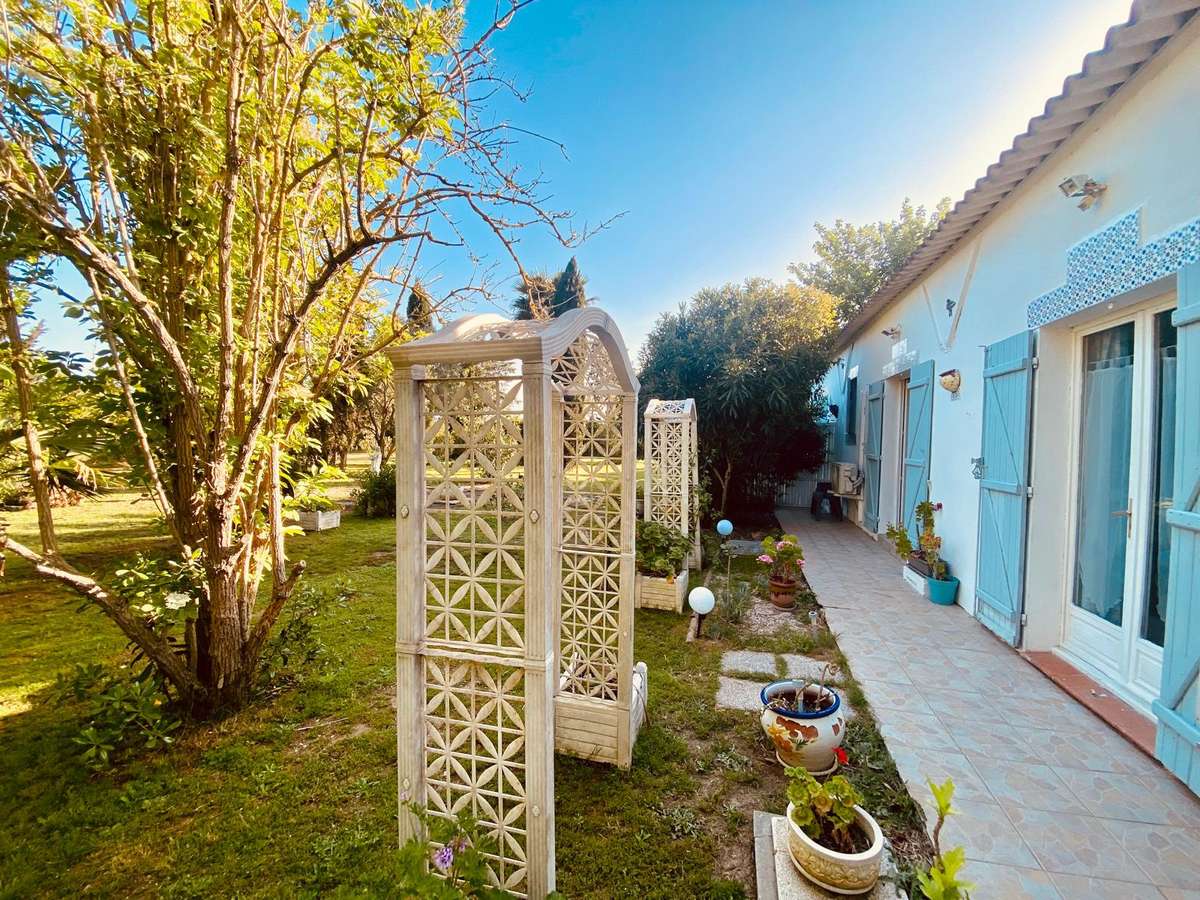 House saint-cyprien-plage
