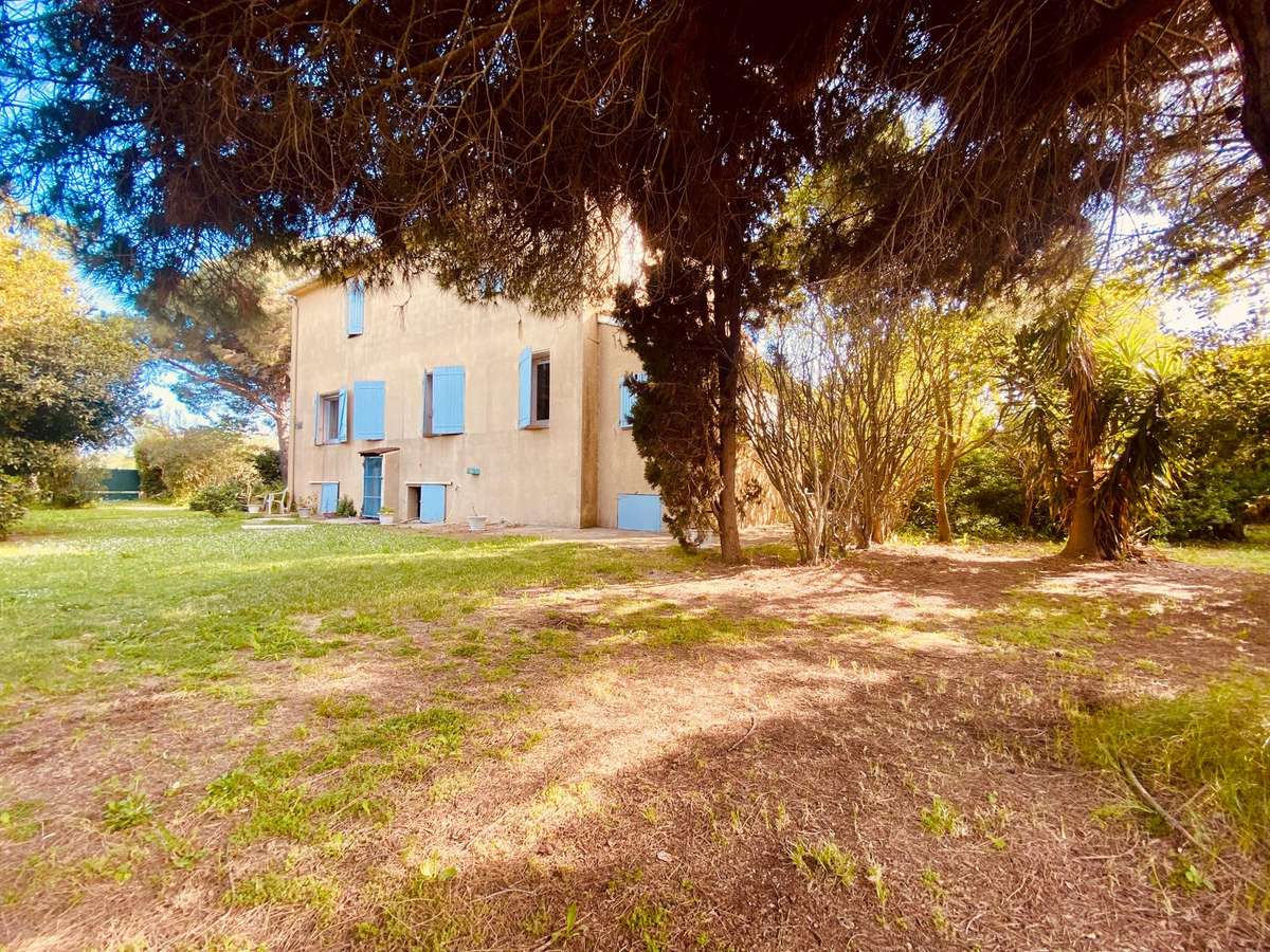 House saint-cyprien-plage