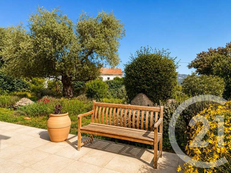 Maison Calenzana - 4 chambres - 157m²
