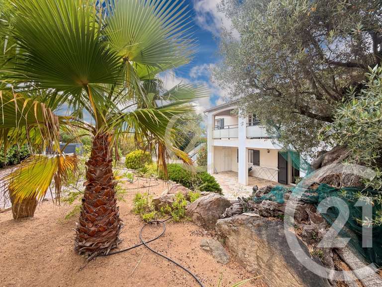 Maison avec Vue sur mer Monticello - 6 chambres - 208m²