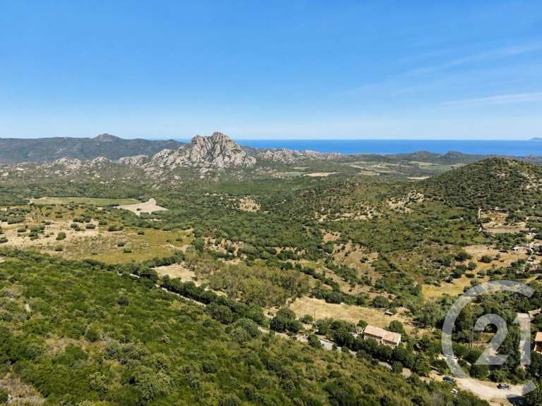 House with Sea view Saint-Florent - 4 bedrooms - 230m²