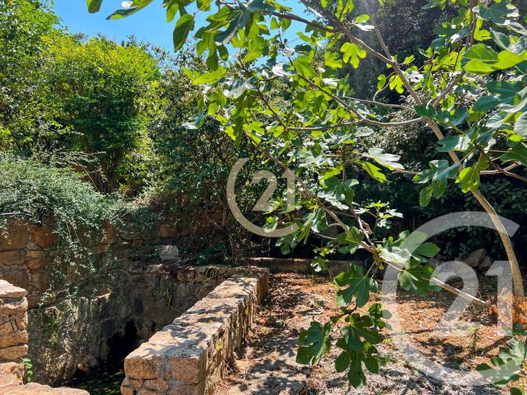 House with Sea view Calvi - 3 bedrooms - 143m²